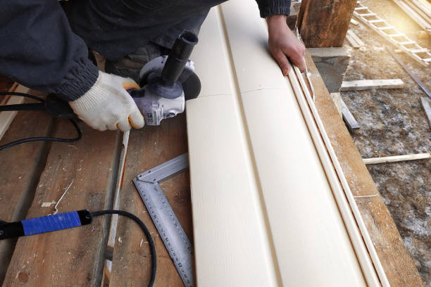 Best Storm Damage Siding Repair  in Oak View, CA